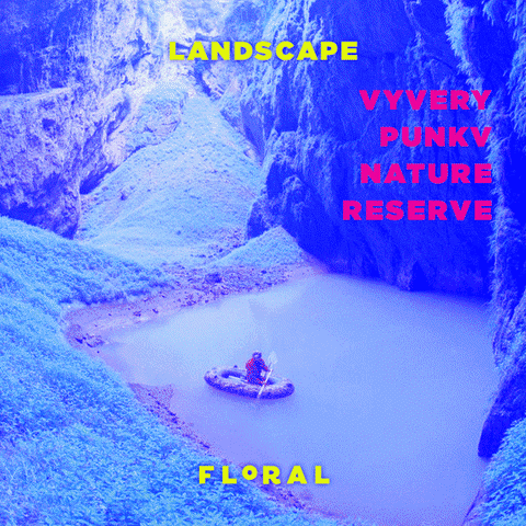 florenciaalapi #floral #landscape GIF