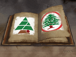 eliashayin  GIF