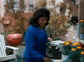 family matters jomarie payton noble GIF by Warner Archive