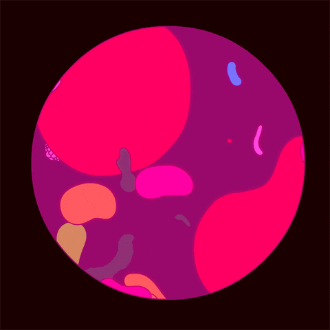 Giphy