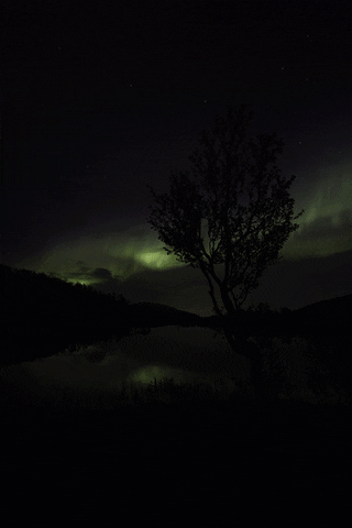 robertalexandersen aurora norway canon artic GIF
