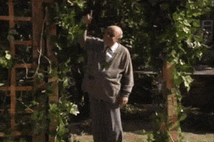 alexdfw keeping up appearances hyacinth hyacinth bucket keepingupappearances GIF