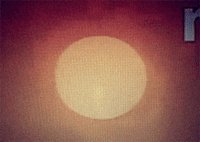 animation text GIF by Ryan Seslow