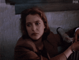 x files GIF by The X-Files