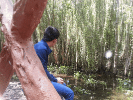 leminh  GIF