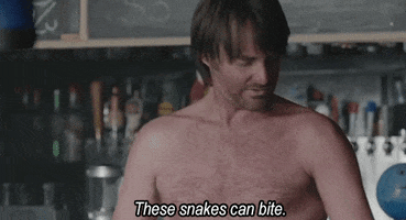 200.gif?cid=fc005b08c26aea8ad204c2ee1b9d27d218b68f0629effc26&rid=200.gif&ct=g
