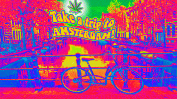 Weed Amsterdam GIF