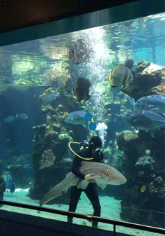 ecstasy  GIF
