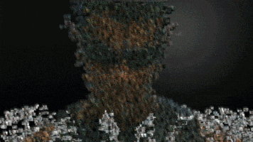 ramon  GIF