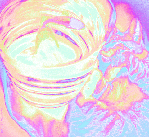 Pink Pussy GIFs - Get the best GIF on GIPHY