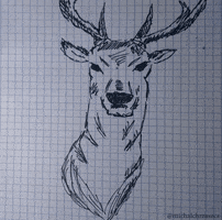 michalchrzaszcz it with deer michalchrzaszcz GIF