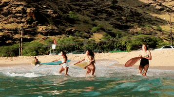 200.gif?cid=fc005b08d64fef1afb914083ee307a265baf5cc9f069928a&rid=200.gif&ct=g
