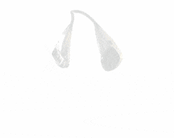 rancho "silent partner" GIF