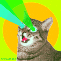 [Image: 200w.gif?cid=6c09b952v1l9z5h0arpz9iw87r4...w.gif&ct=g]