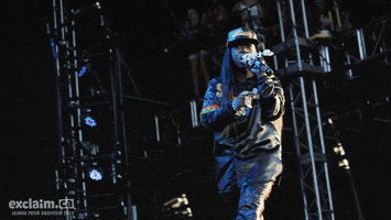 exclaimdotca music festival concert canada GIF