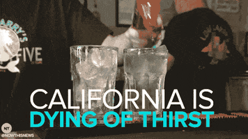 climate change news GIF by NowThis 