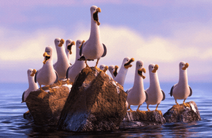 pepelsbey react conference seagull front-end GIF