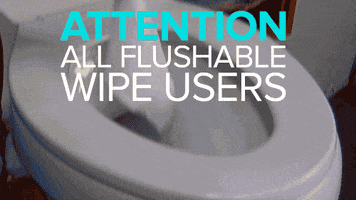 toilet paper news GIF by NowThis 