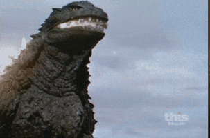 tohoscope  GIF