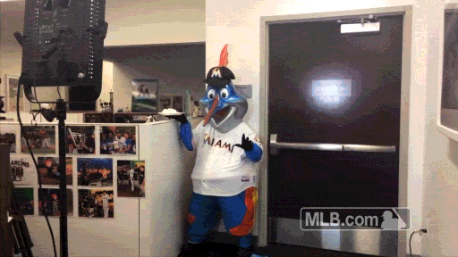 giphy.gif