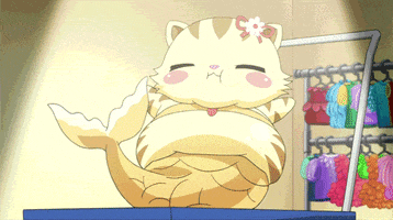 brandy fat belly sango jewlepet GIF