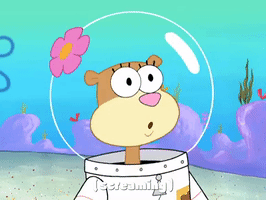 season 4 episode 10 GIF by SpongeBob SquarePants