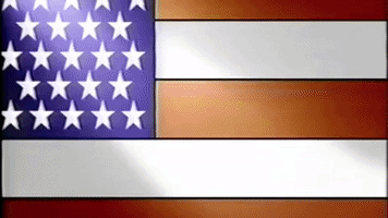murkyliquids usa club flag america GIF