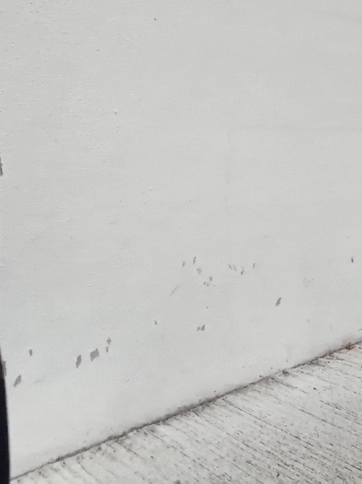 Photography GIF by Abdela igmirien