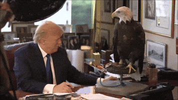 attack donald trump eagle uncle sam