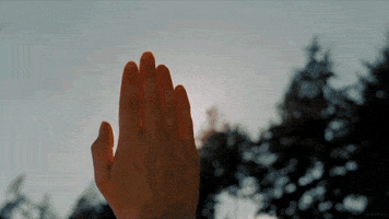raya  GIF