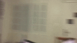 samu  GIF