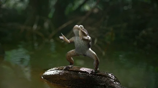 Frog Funny Dancing GIF by Mountain Dew