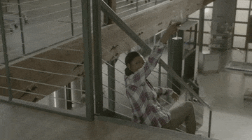 happy fox tv GIF by Rosewood