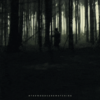 haunting the woods GIF by Lionsgate