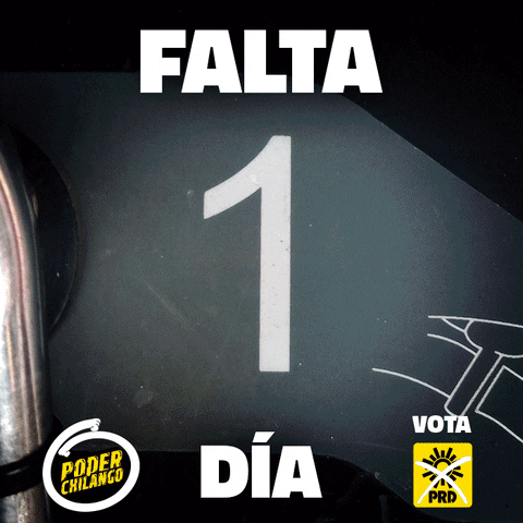 miconstituyente  GIF