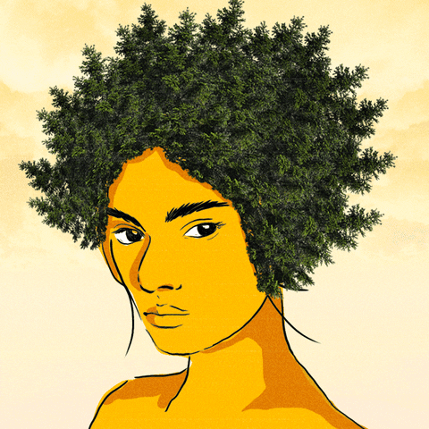 trees afro GIF by Percolate Galactic