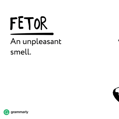 fetor meaning, definitions, synonyms