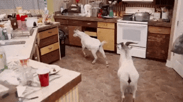 cmt goats GIF by Party Down South