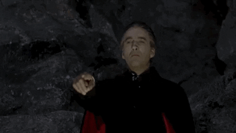 giphy.gif