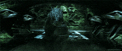 lorrainedelp  GIF