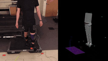 motion research GIF by Harvard University