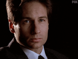 david duchovny agent mulder GIF by The X-Files