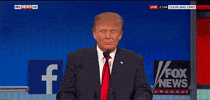 Donald Trump Hm GIF