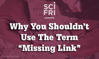 missing link history GIF by Science Friday