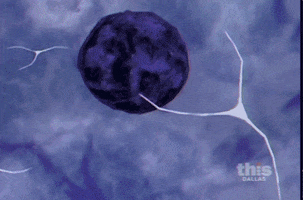 tohoscope  GIF