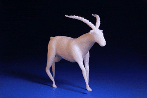 fredtretout horse stop motion cheval 3d print GIF
