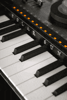 keyboard instrument GIF by Blobby Barack