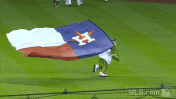 hou GIF by MLB