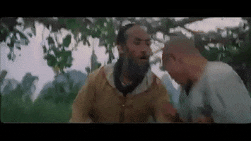 Martial Arts GIF by Shaw Brothers