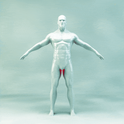 Art 3D GIF by MIDgraph